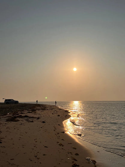 Doha: Private Half-Day Desert Safari, Quad Bike, Camel Ride and Inland Sea Tour