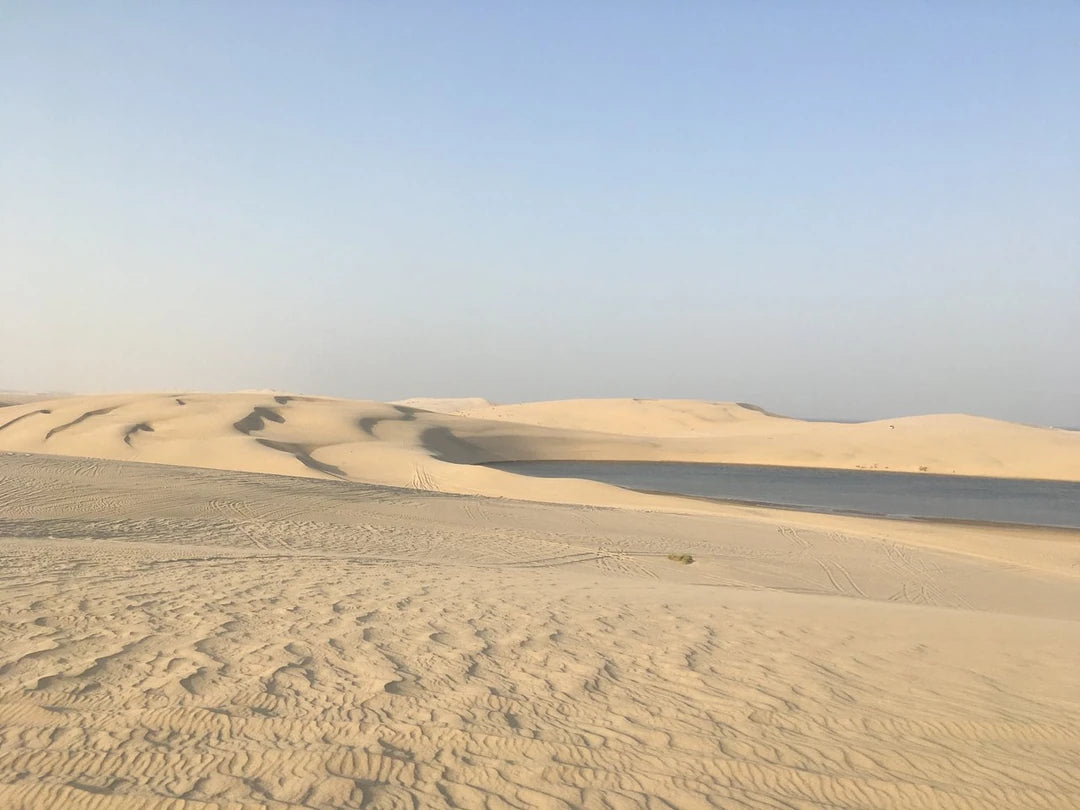 Doha: Private Half-Day Desert Safari, Quad Bike, Camel Ride and Inland Sea Tour