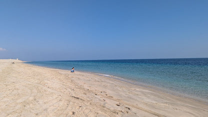Doha: Private Half - Day Desert Safari, Quad Bike, Camel Ride and Inland Sea Tour
