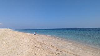 Doha: Private Half - Day Desert Safari, Quad Bike, Camel Ride and Inland Sea Tour