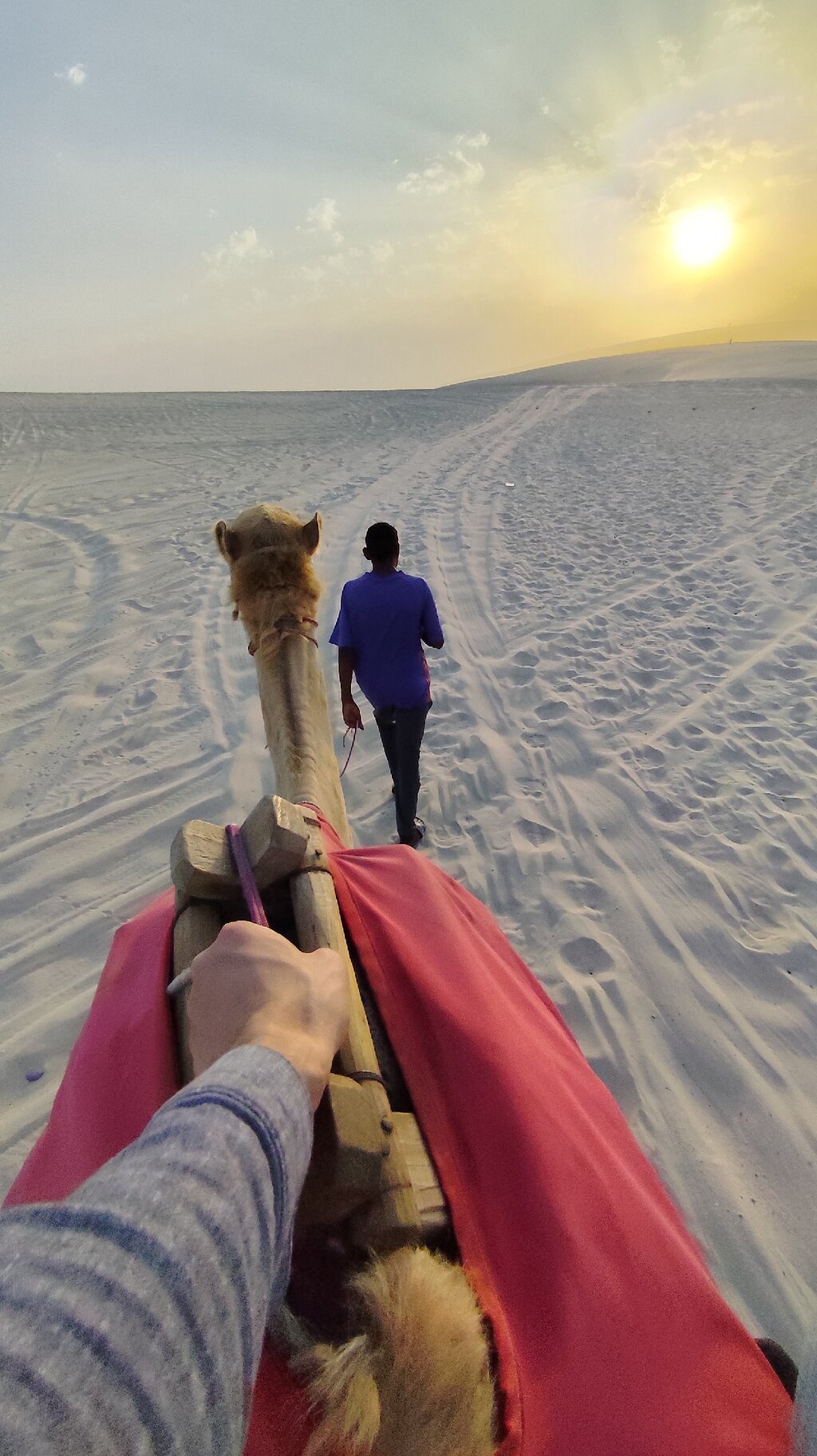Doha: Private Half - Day Desert Safari, Quad Bike, Camel Ride and Inland Sea Tour