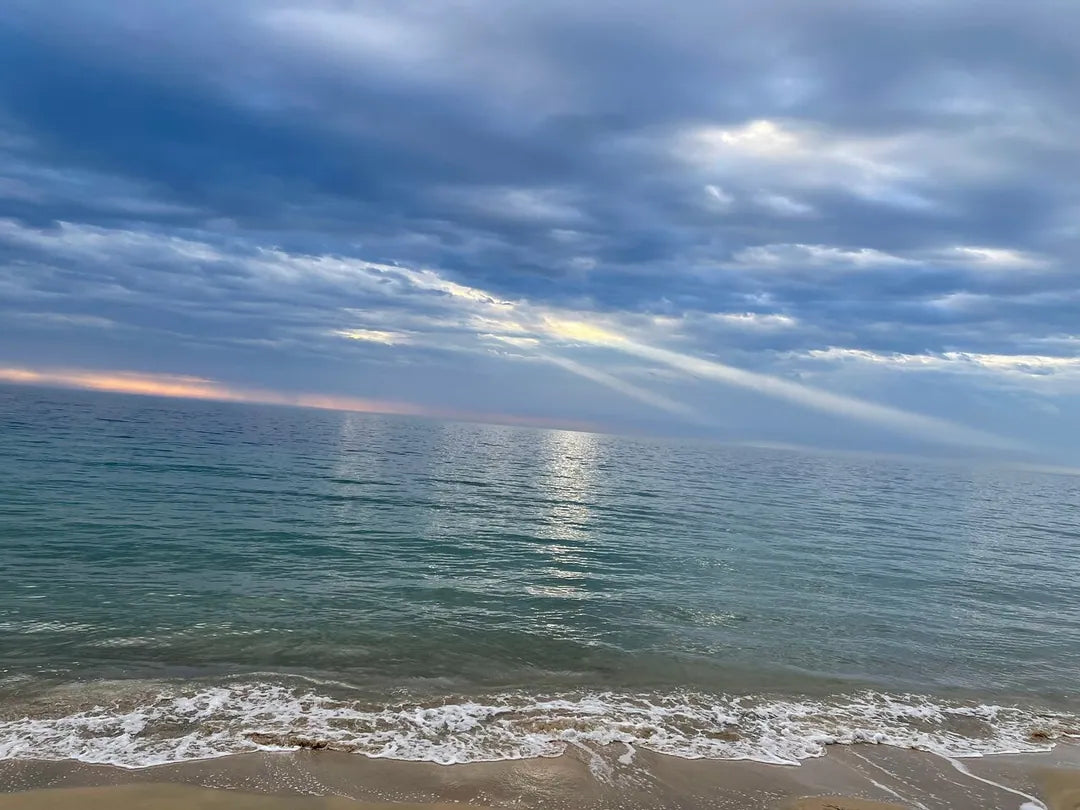 Doha: Private Half-Day Desert Safari, Quad Bike, Camel Ride and Inland Sea Tour