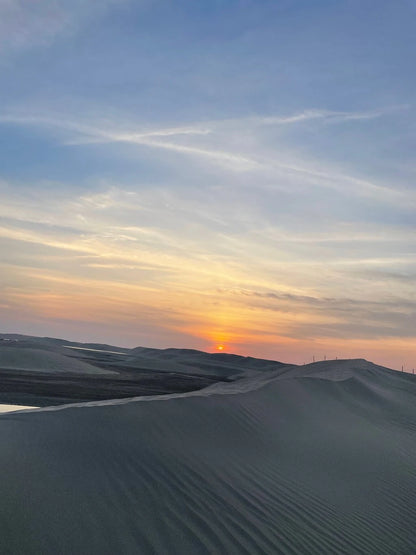 Doha: Private Half - Day Desert Safari with Camel Ride