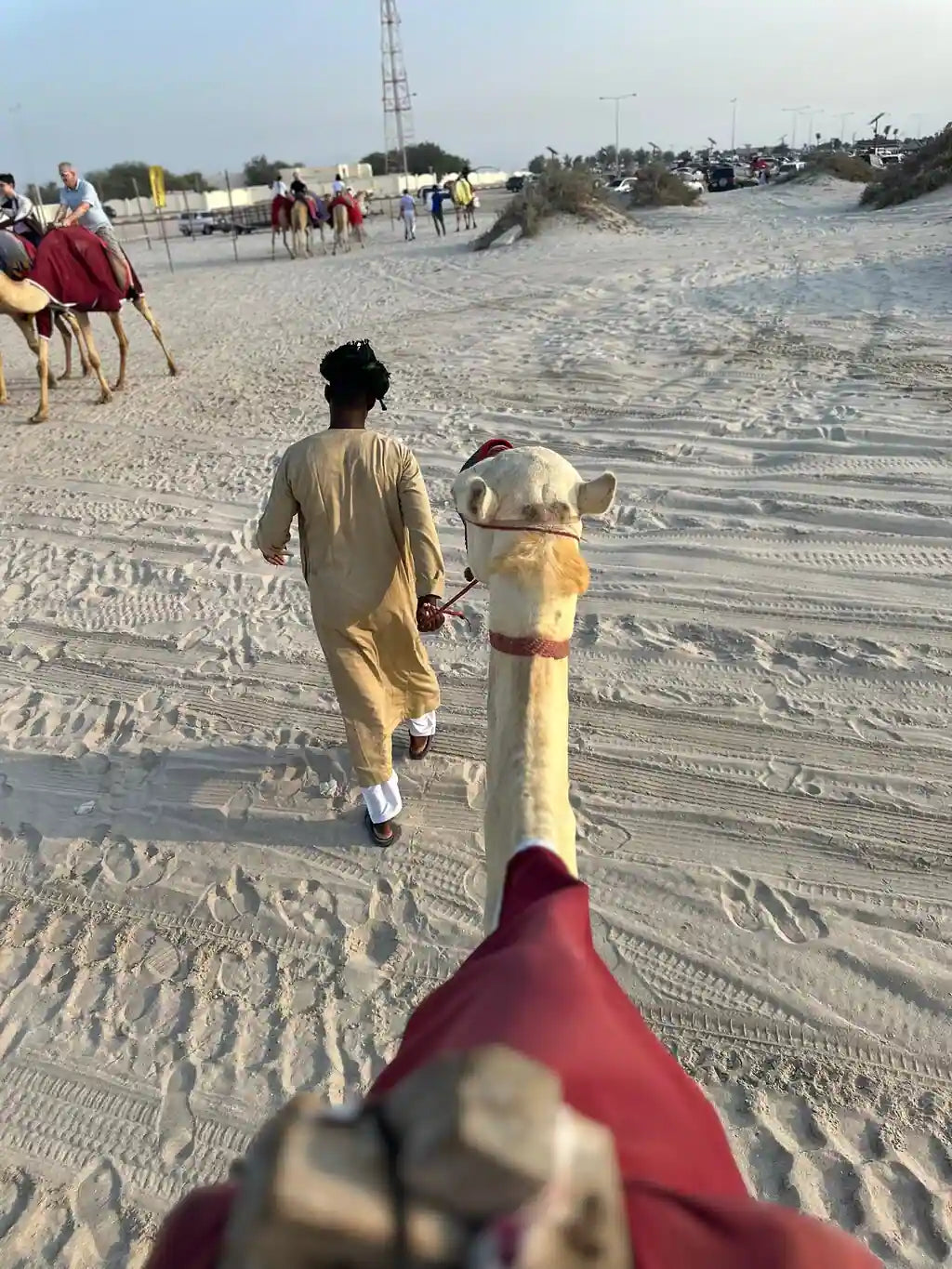 Doha: Private Half - Day Desert Safari with Camel Ride