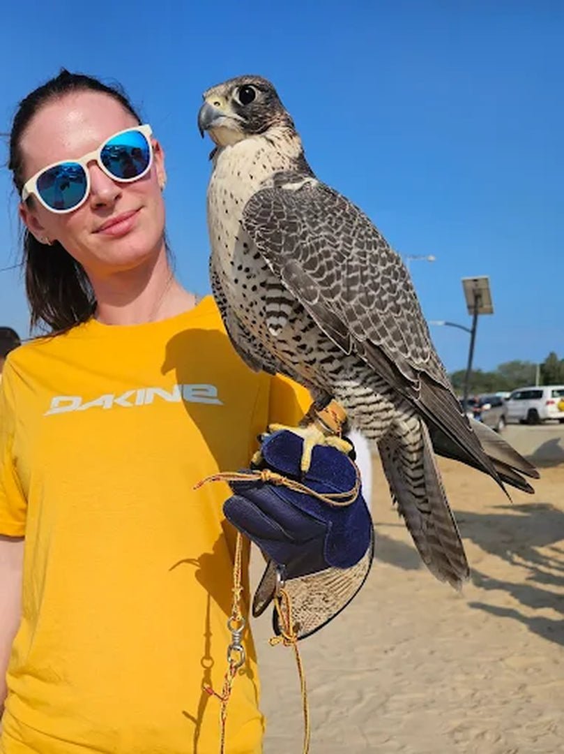 Doha: Private Half - Day Desert Safari with Camel Ride, Dune Bashing, and Inland Sea