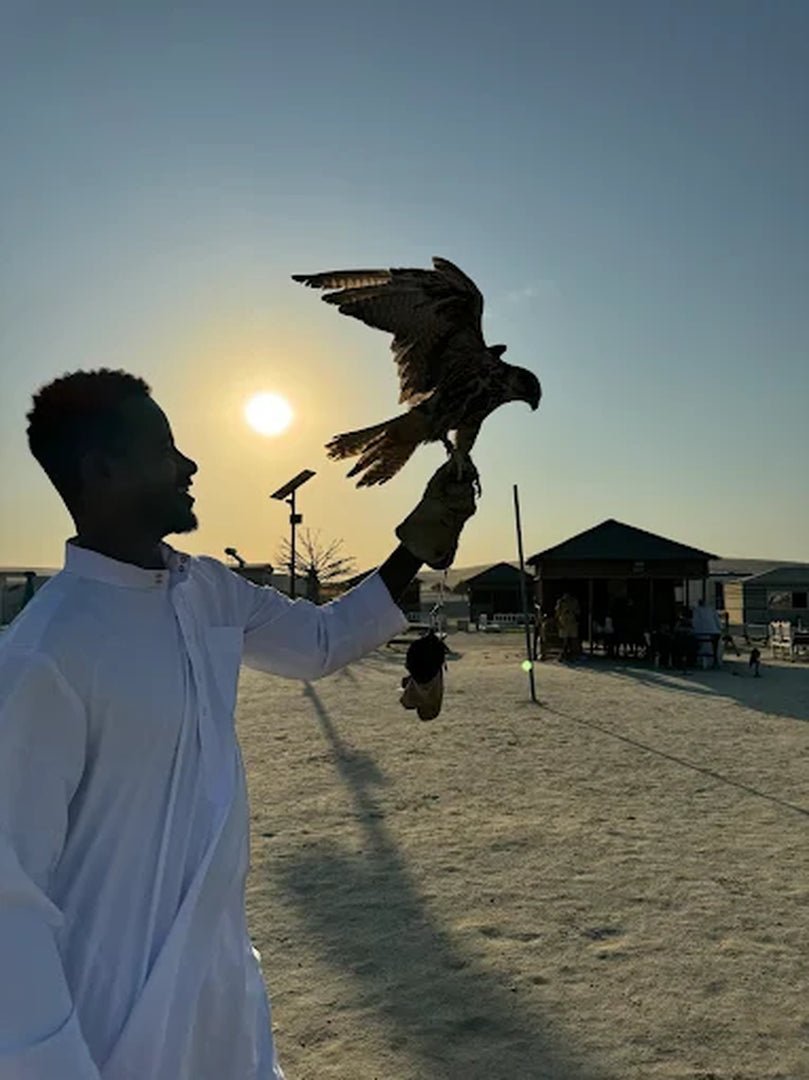Doha: Private Half - Day Desert Safari with Camel Ride, Dune Bashing, and Inland Sea