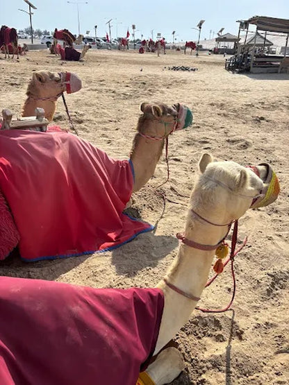 Doha: Private Half - Day Desert Safari with Camel Ride, Dune Bashing, and Inland Sea