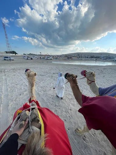 Doha: Private Half - Day Desert Safari with Camel Ride, Dune Bashing, and Inland Sea