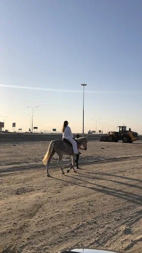 Doha: Private Half - Day Desert Safari with Sandboarding and Optional Activities