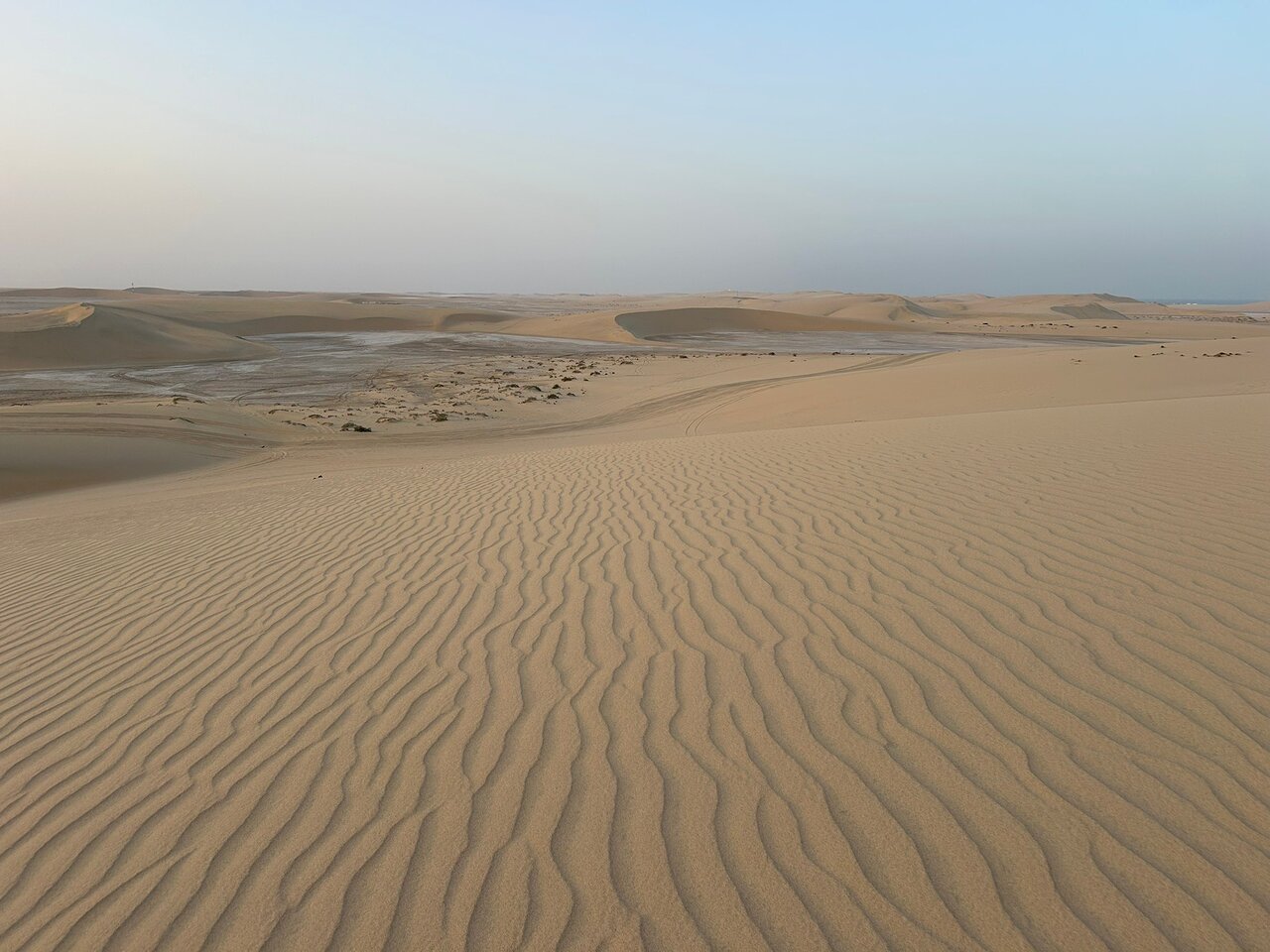 Doha: Private Night Desert Safari, Sandboarding, Camel Ride and Inland Sea Tour