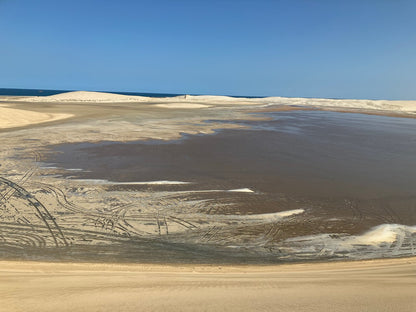 Doha: Private Night Desert Safari, Sandboarding, Camel Ride and Inland Sea Tour