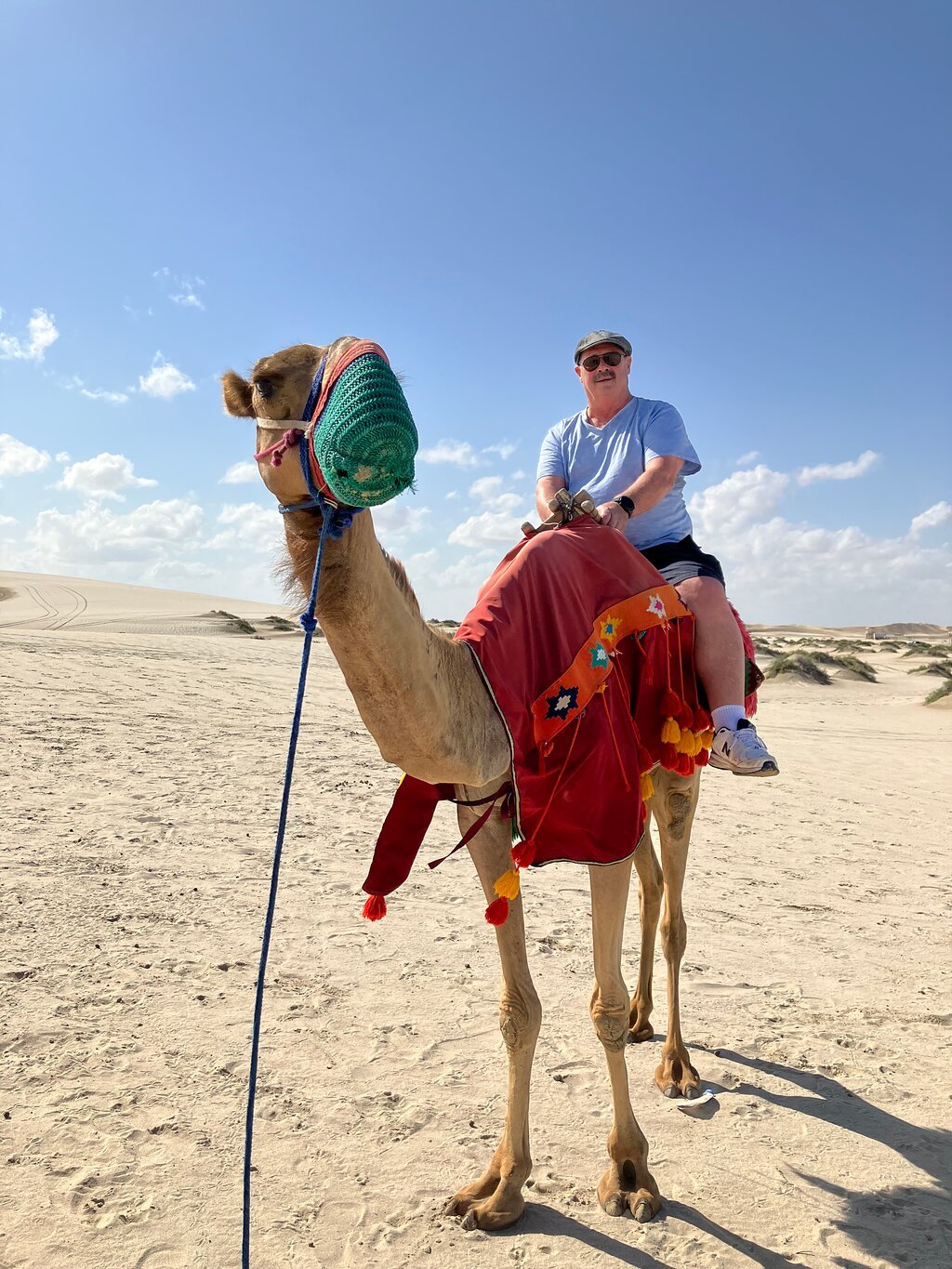 Doha: Private Night Desert Safari, Sandboarding, Camel Ride and Inland Sea Tour