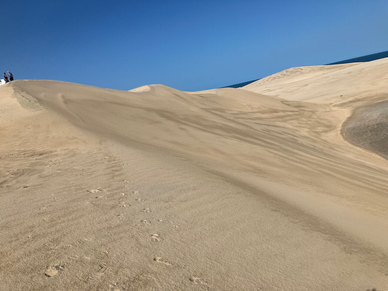 Doha: Private Night Desert Safari, Sandboarding, Camel Ride and Inland Sea Tour