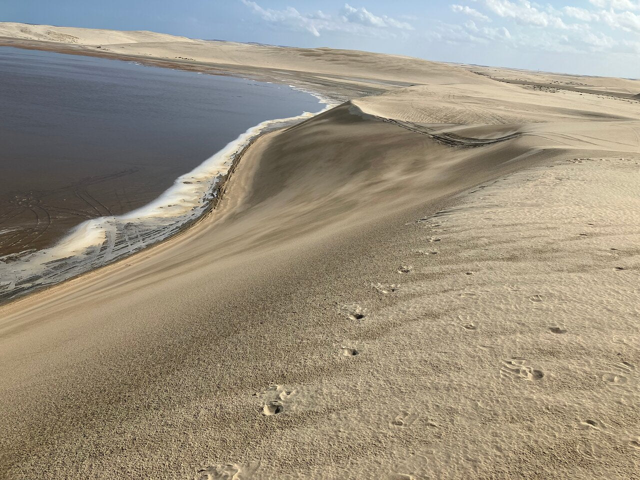 Doha: Private Night Desert Safari, Sandboarding, Camel Ride and Inland Sea Tour