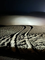 Doha: Private Night Desert Safari, Sandboarding, Camel Ride and Inland Sea Tour