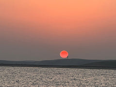 Doha: Private Night Desert Safari, Sandboarding, Camel Ride and Inland Sea Tour