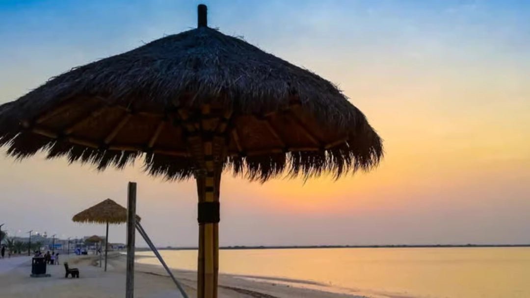 Doha: Private North Qatar Tour, Mangroves and Zubara Fort