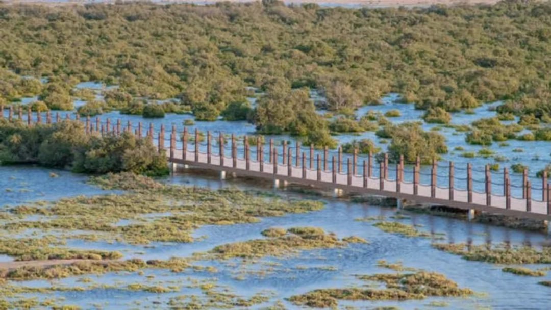 Doha: Private North Qatar Tour, Mangroves and Zubara Fort