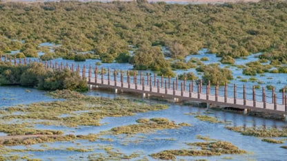 Doha: Private North Qatar Tour, Mangroves and Zubara Fort