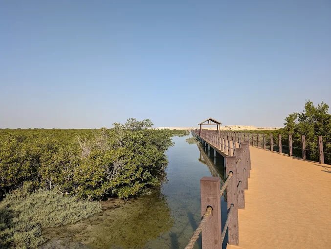 Doha: Private North Qatar Tour, Mangroves and Zubara Fort