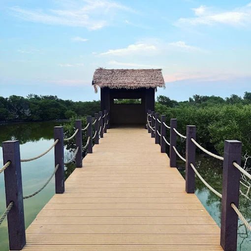 Doha: Private North Qatar Tour, Mangroves and Zubara Fort