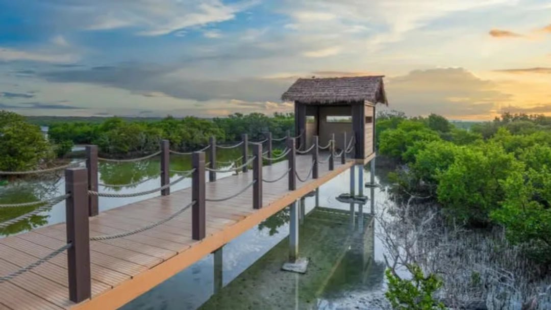 Doha: Private North Qatar Tour, Mangroves and Zubara Fort