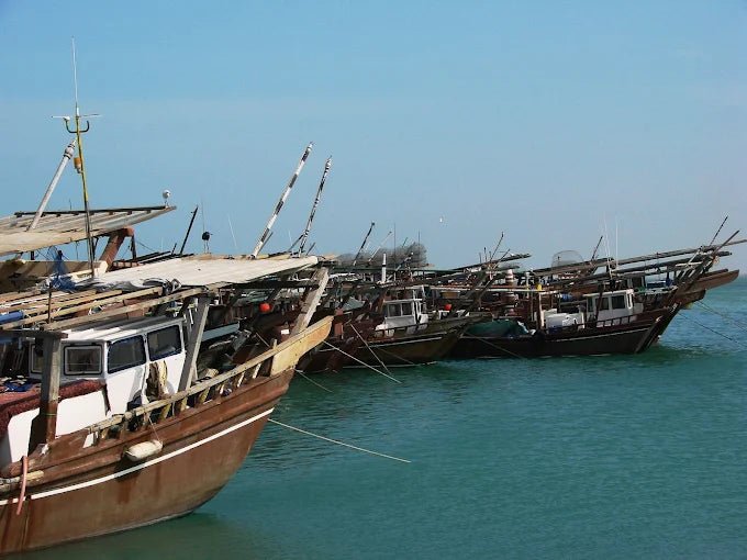 Doha: Private North Qatar Tour, Mangroves and Zubara Fort