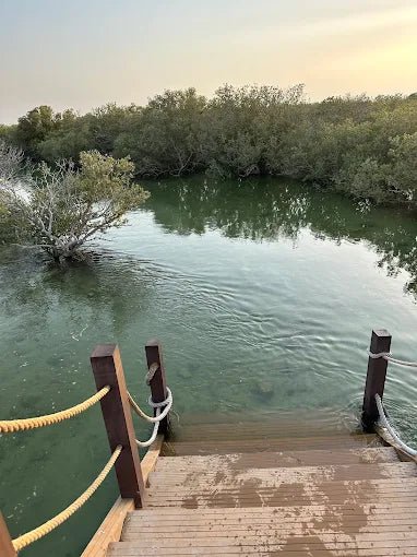 Doha: Private North Qatar Tour, Mangroves and Zubara Fort