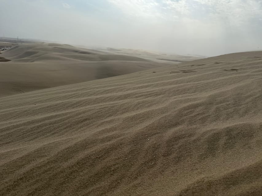 Doha: Private Self - Ride Dune Buggy Safari Off - Road Experience