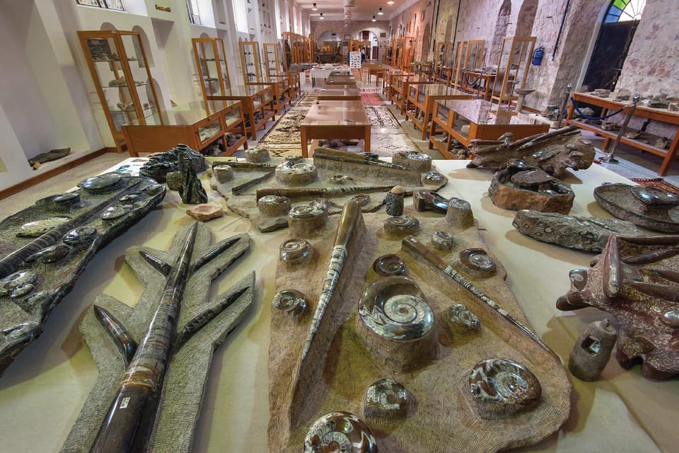 Doha: Private Tour to Sheikh Faisal Museum and Camel Racetrack