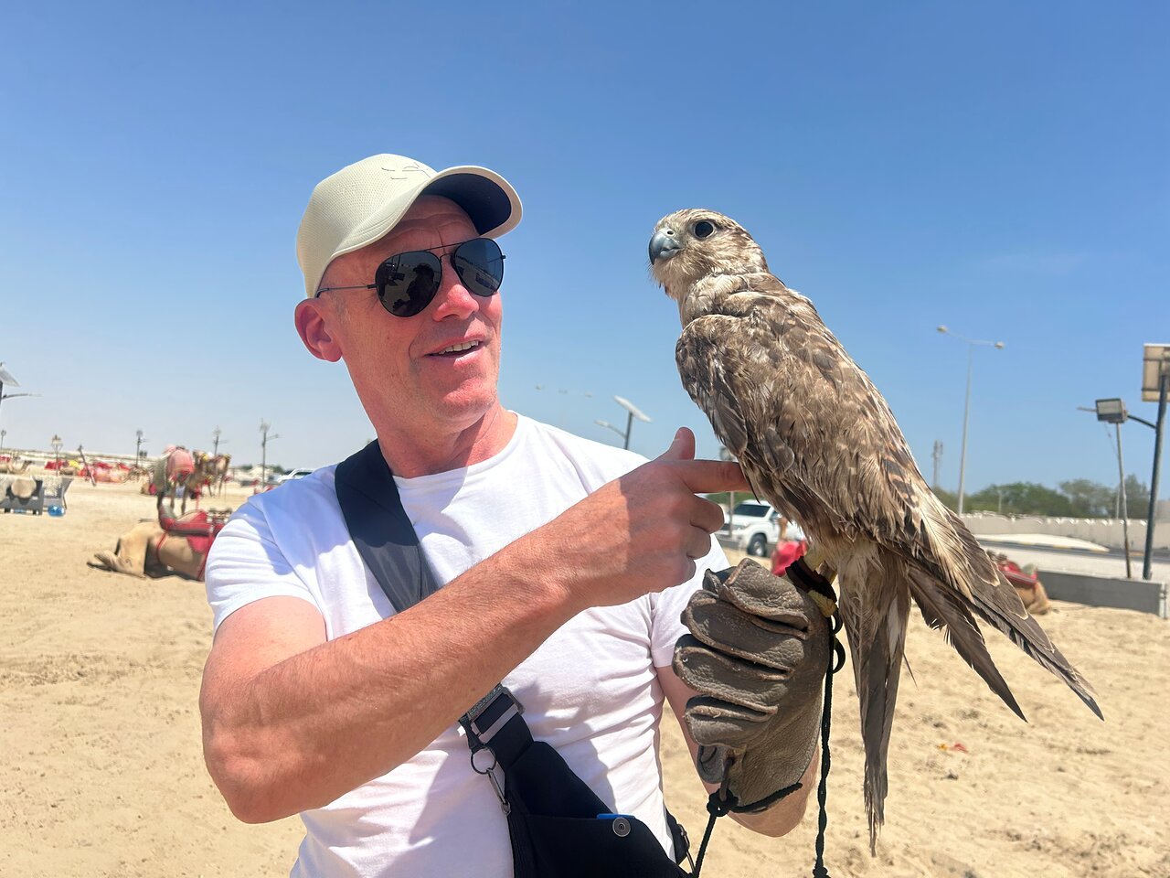 Doha: Shared Desert Safari with Dune Bashing and Sandboarding