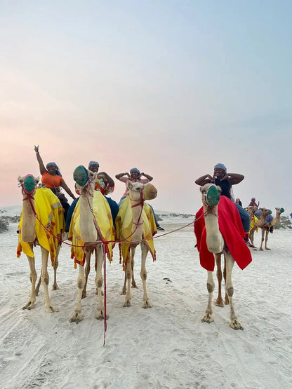 Doha: Shared or Private Desert Safari with Dune bashing and Sandboarding