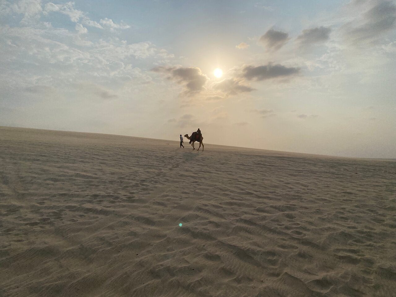 Doha: Shared Tour Half - Day Desert Safari, Sandboarding and Camel Ride