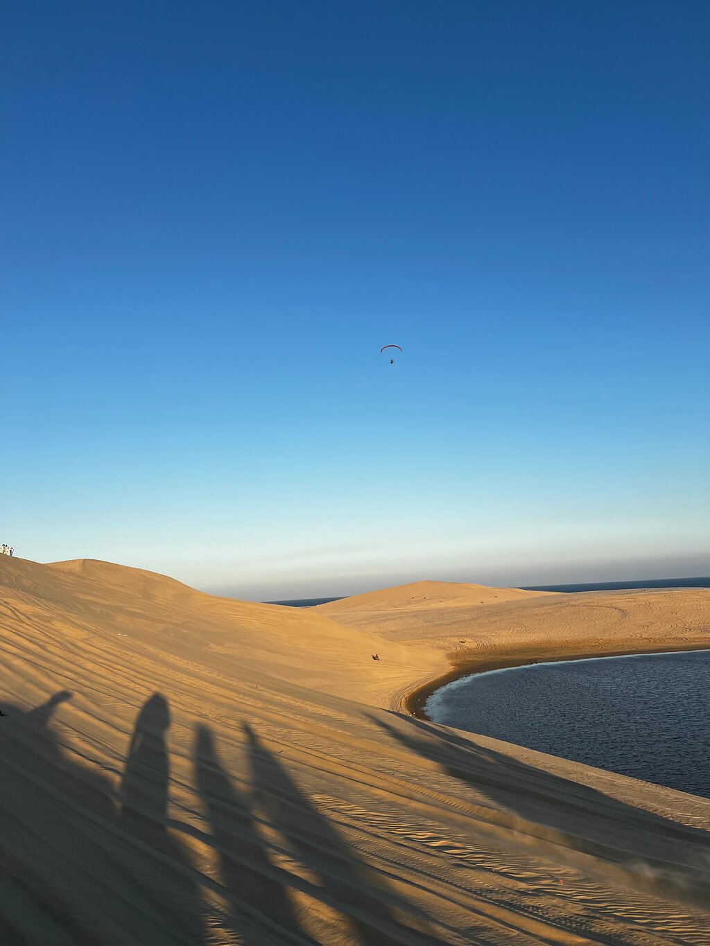Doha: Shared Tour Half - Day Desert Safari, Sandboarding and Camel Ride