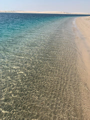 Doha: Shared Tour Half - Day Desert Safari, Sandboarding and Camel Ride