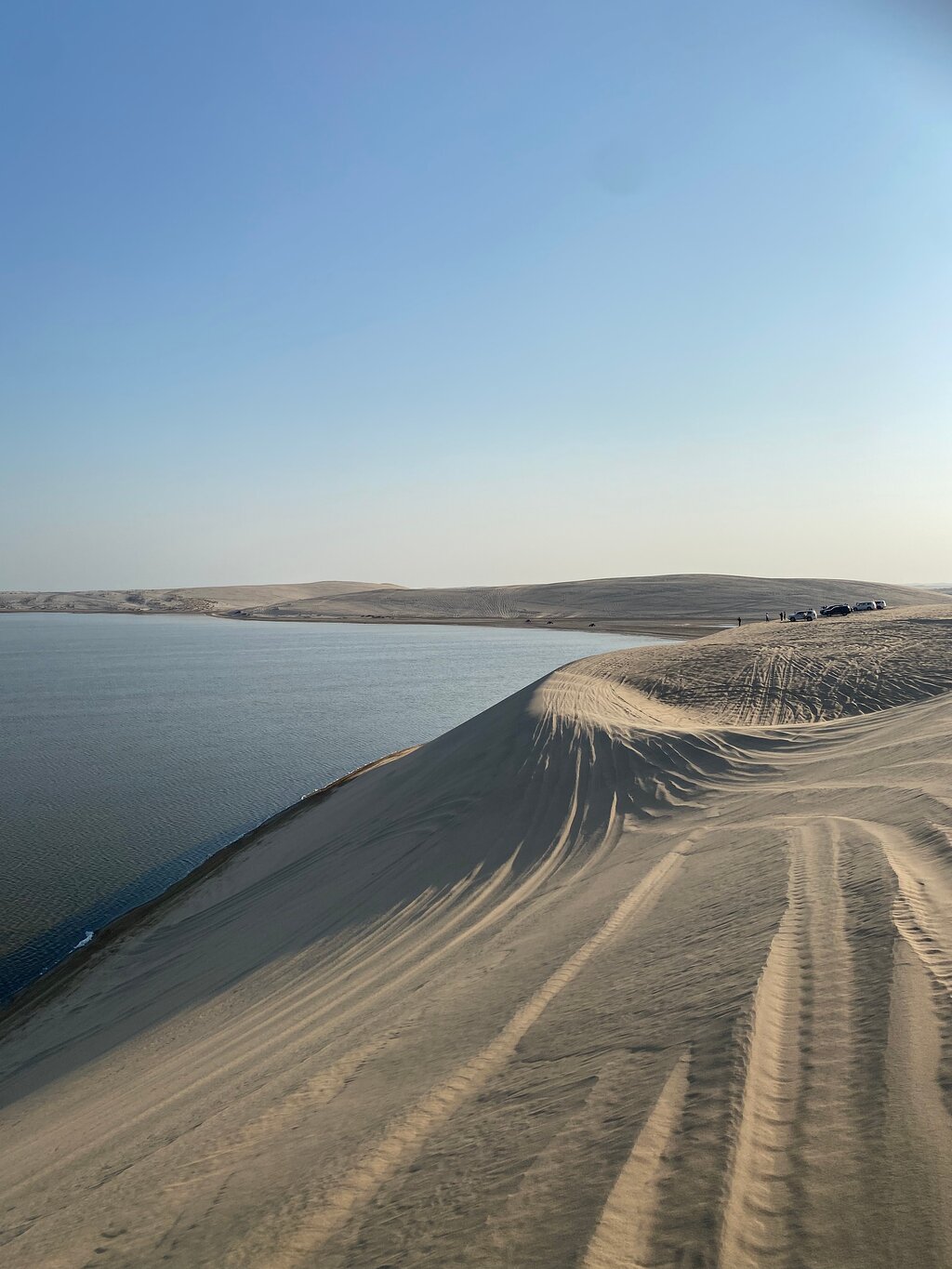 Doha: Shared Tour Half - Day Desert Safari, Sandboarding and Camel Ride