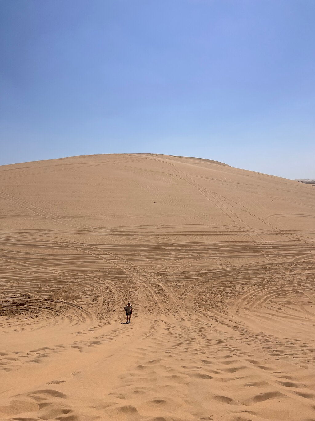 Doha: Shared Tour Half - Day Desert Safari, Sandboarding and Camel Ride