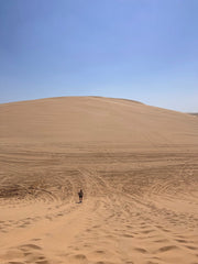 Doha: Shared Tour Half - Day Desert Safari, Sandboarding and Camel Ride