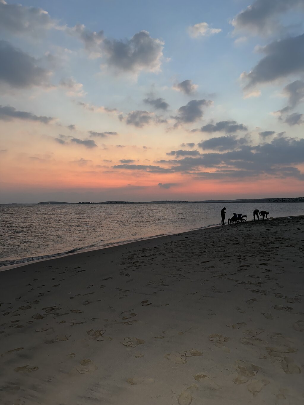 Doha: Shared Tour Half - Day Desert Safari, Sandboarding and Camel Ride