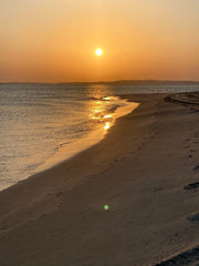 Doha: Shared Tour Half - Day Desert Safari, Sandboarding and Camel Ride