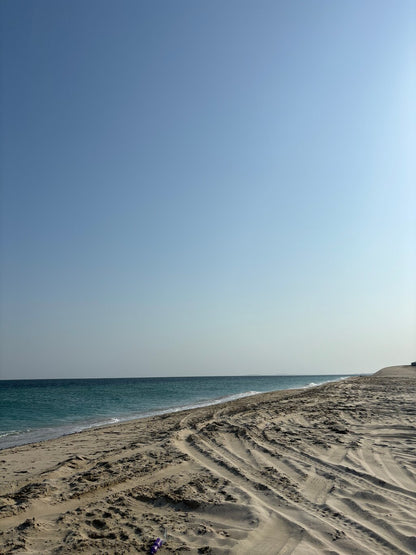 Doha: Shared Tour Half - Day Desert Safari, Sandboarding and Camel Ride