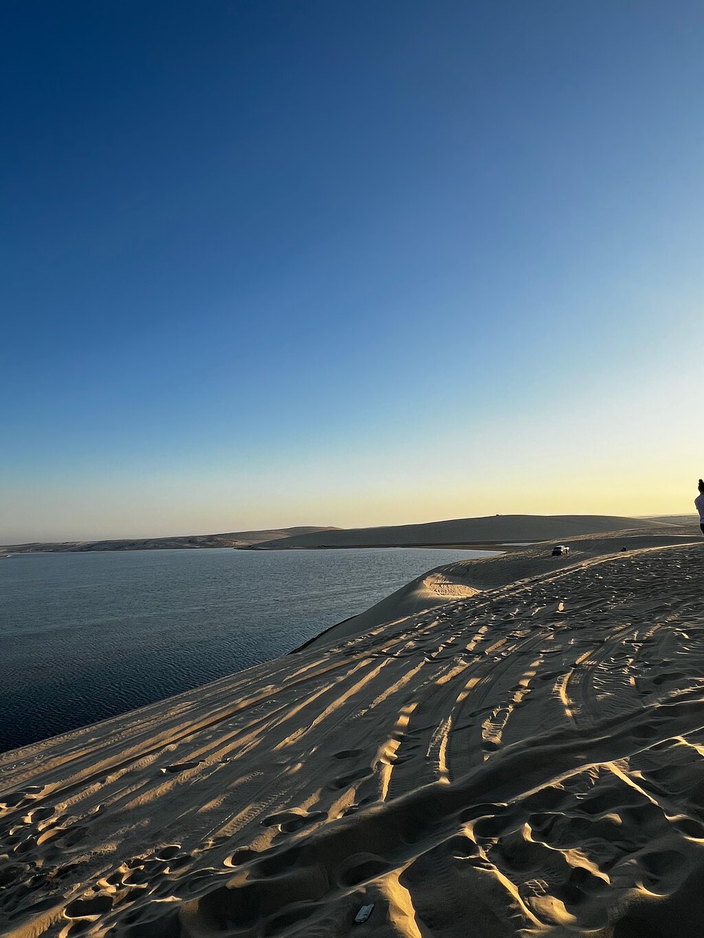 Doha: Shared Tour Half - Day Desert Safari, Sandboarding and Camel Ride