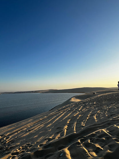 Doha: Shared Tour Half - Day Desert Safari, Sandboarding and Camel Ride
