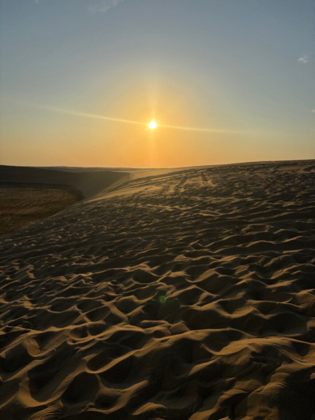 Doha: Shared Tour Half - Day Desert Safari, Sandboarding and Camel Ride