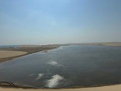 Doha: Shared Tour Half - Day Desert Safari, Sandboarding and Camel Ride
