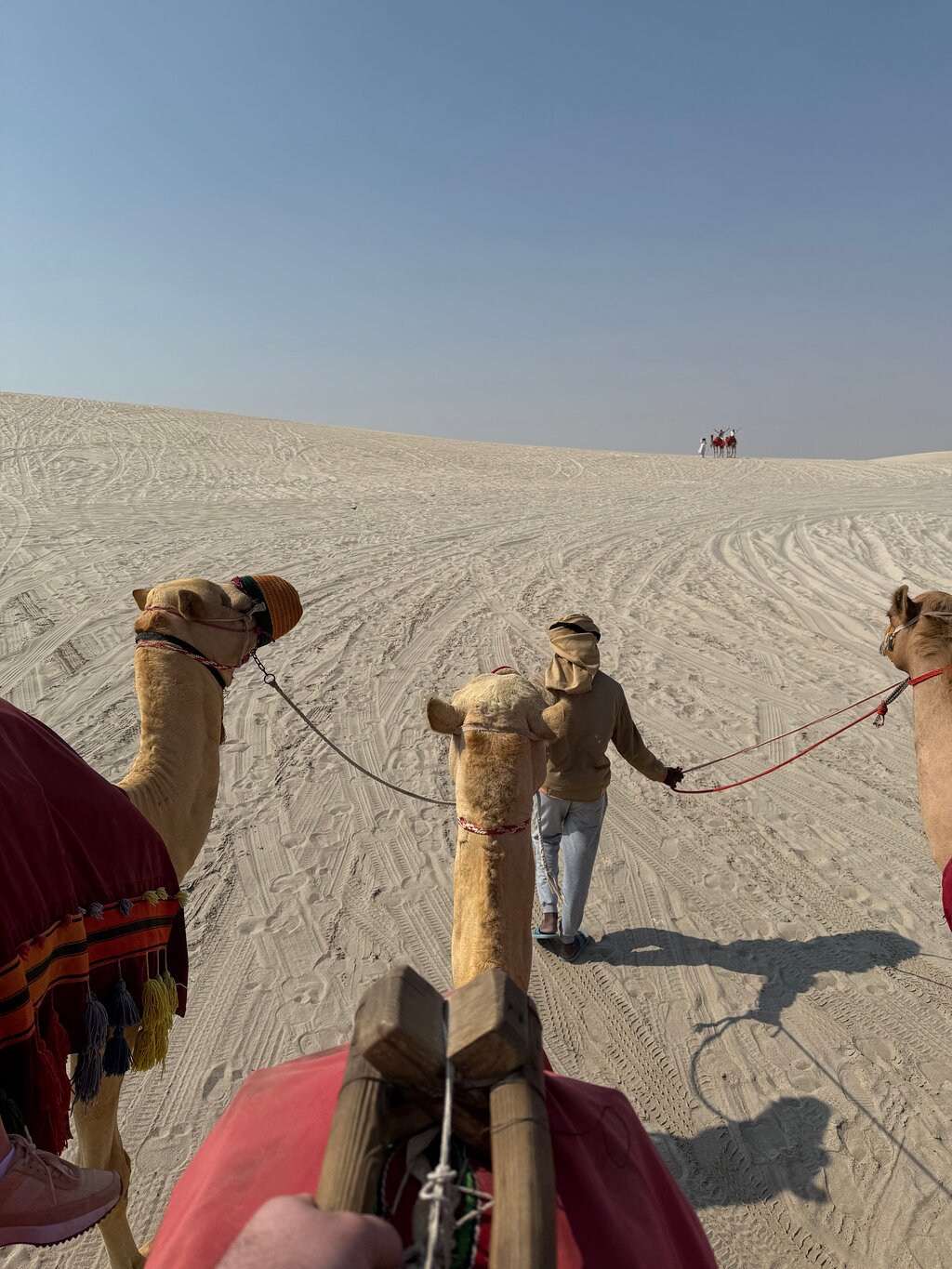 Doha: Shared Tour Half - Day Desert Safari, Sandboarding and Camel Ride