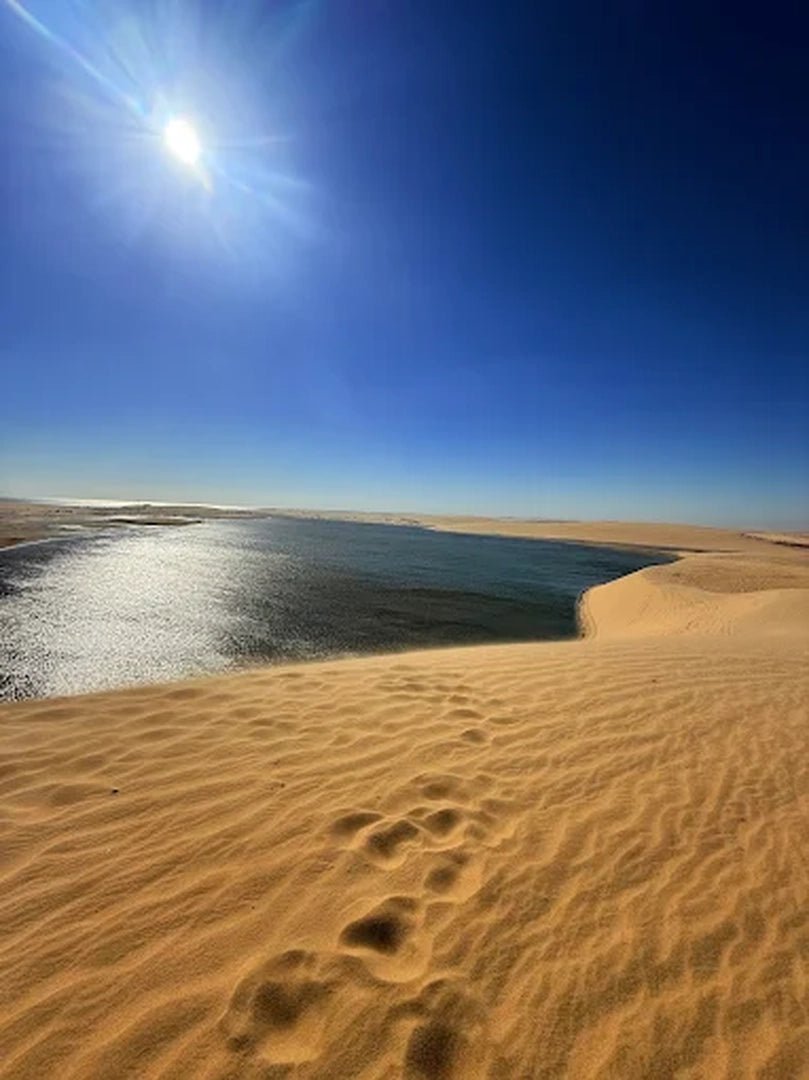 Doha: Sunrise Desert Safari with Sandboarding and Camel Ride