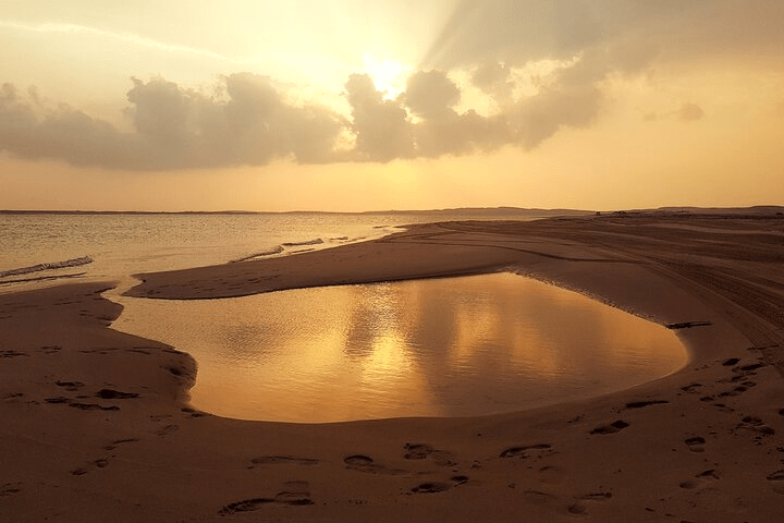 Doha: Sunrise or Sunset Desert Safari Dune Bashing, Camel Ride, and Inland Sea Views