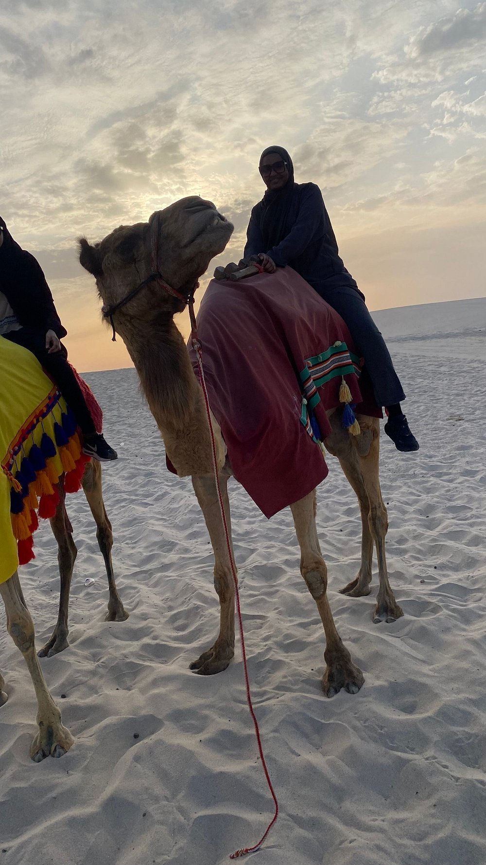 Doha: Sunrise or Sunset Desert Safari Dune Bashing, Camel Ride, and Inland Sea Views