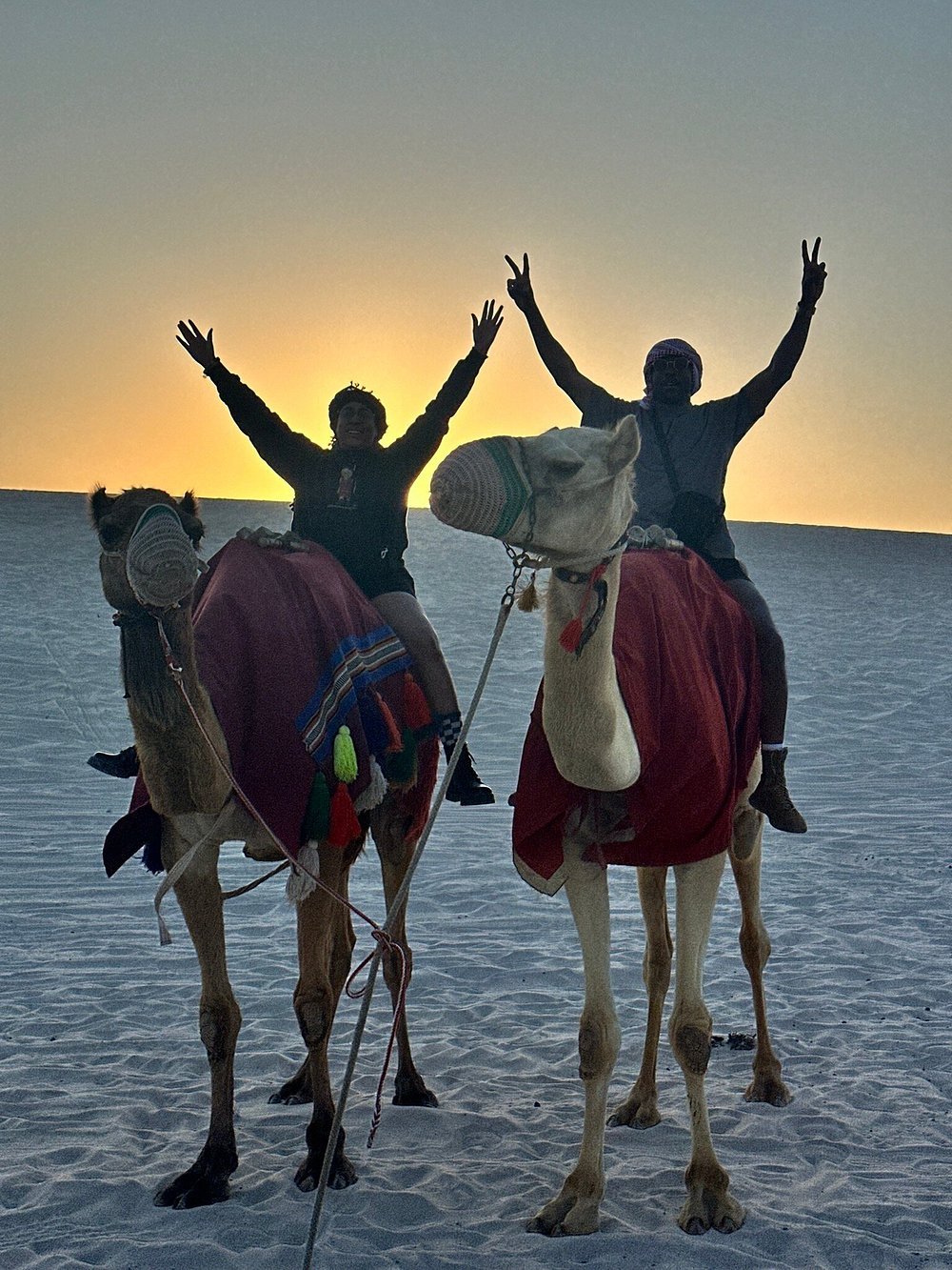 Doha: Sunrise or Sunset Desert Safari Dune Bashing, Camel Ride, and Inland Sea Views